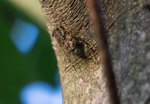 201308070551-DSC07201.jpg