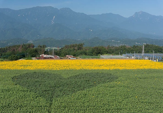 201308070752-DSC05144N.jpg