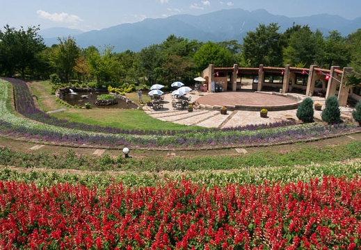 201308071125-DSC05243N.jpg