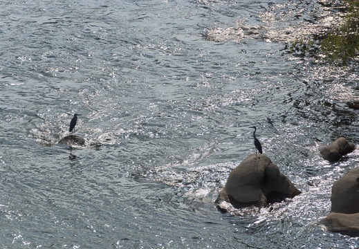 201308161547-DSC07497.jpg