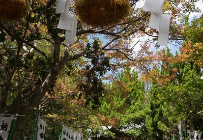 201308201151-DSC05484N.jpg