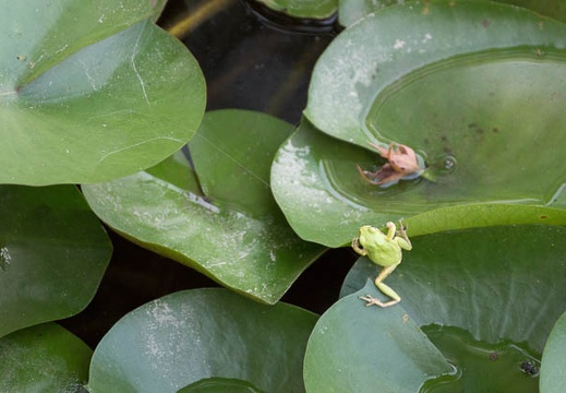 201308201411-DSC07684.jpg