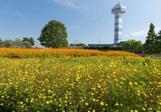 201308201443-DSC05516N.jpg
