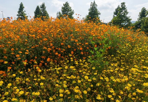 201308201451-DSC05525N.jpg