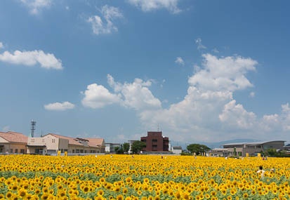 201308221122-DSC05562N.jpg