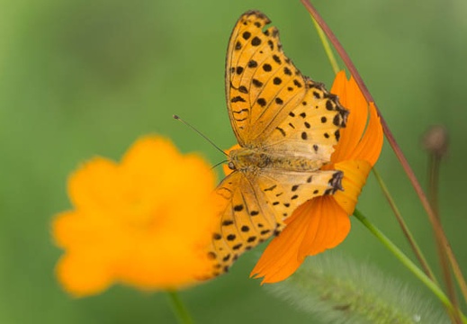 201308260817-DSC08069.jpg