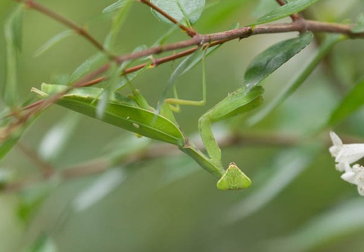 201308260909-DSC08156.jpg