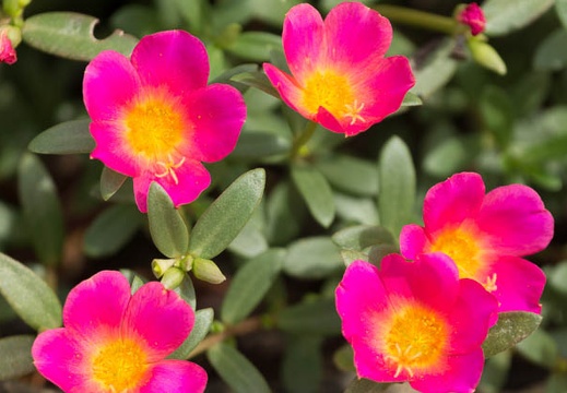 201308260924-DSC08160.jpg