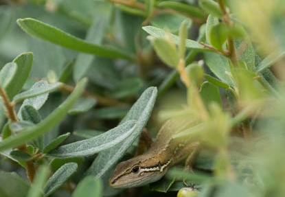 201308260954-DSC08213.jpg