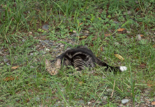 201308261521-DSC08237.jpg
