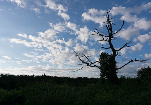 201308270631-DSC05767N.jpg