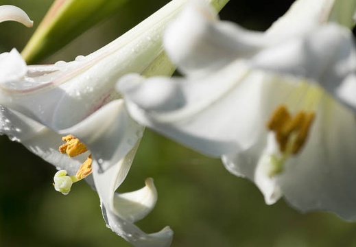 201308270823-DSC08367.jpg