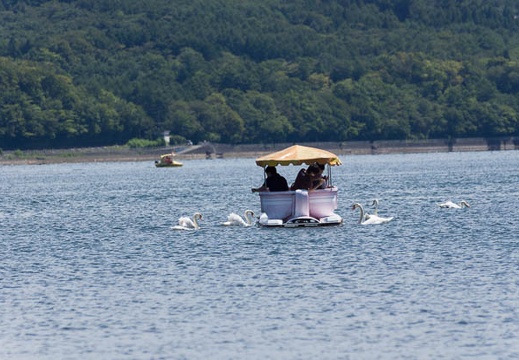 201308271046-DSC08435.jpg
