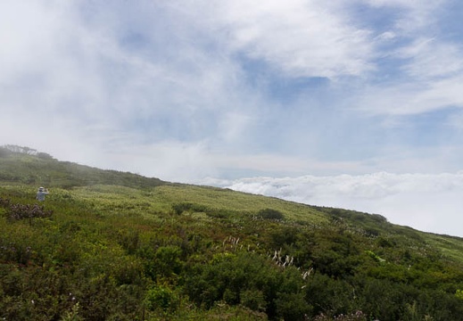 201309061147-DSC08569.jpg