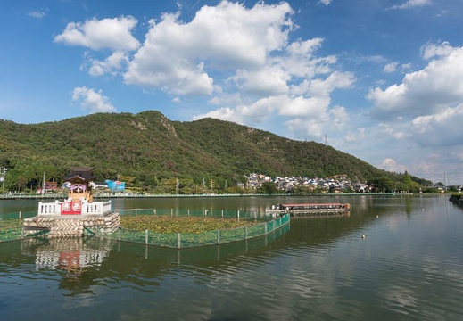 201309091547-DSC06236N.jpg