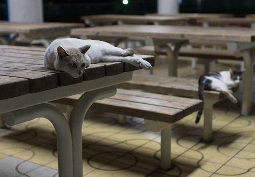 201309141902-DSC09267.jpg
