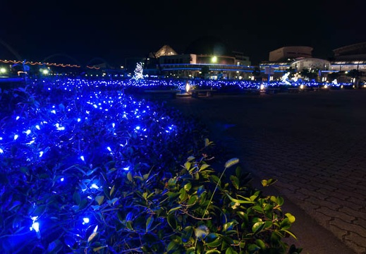 201309141937-DSC06387N.jpg
