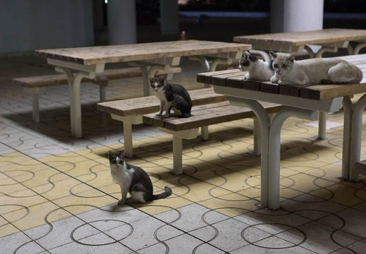 201309142016-DSC09313.jpg
