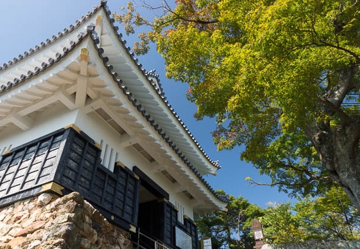 201309181331-DSC09824.jpg