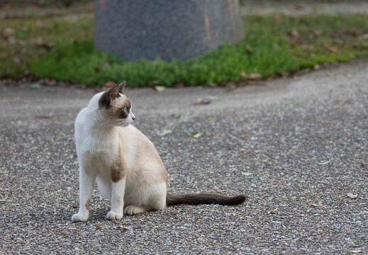 201309181726-DSC00054.jpg
