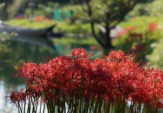 201309201430-DSC00109.jpg