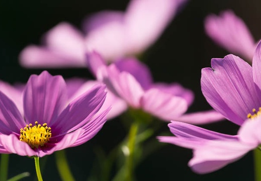 201309201435-DSC00119.jpg