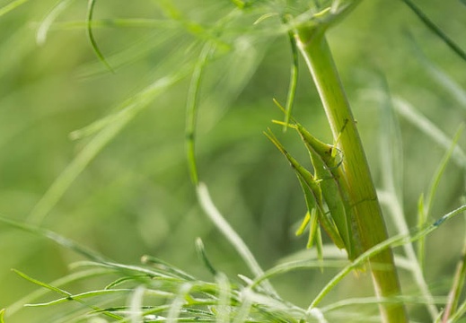 201309201436-DSC00123.jpg