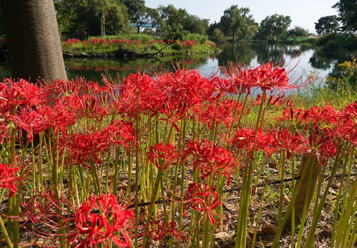 201309201451-DSC06619N.jpg