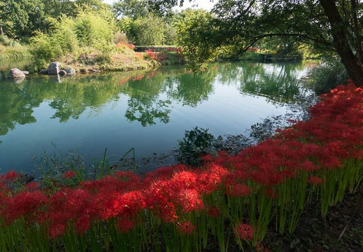 201309201454-DSC06627N.jpg