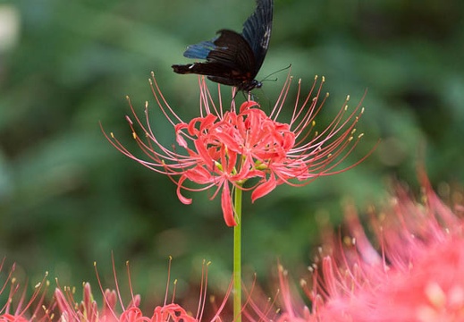 201309201457-DSC00142.jpg