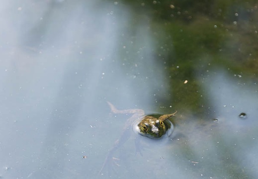 201309201502-DSC00155.jpg