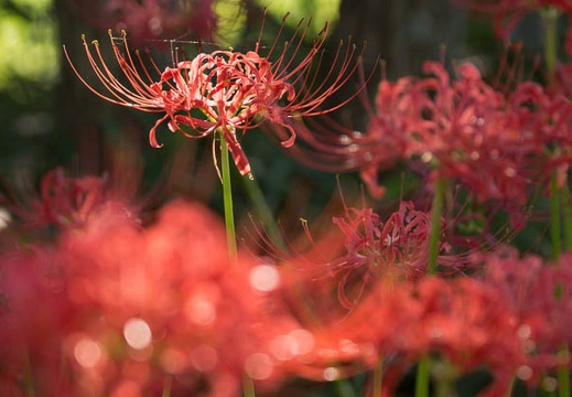 201309201504-DSC00157.jpg
