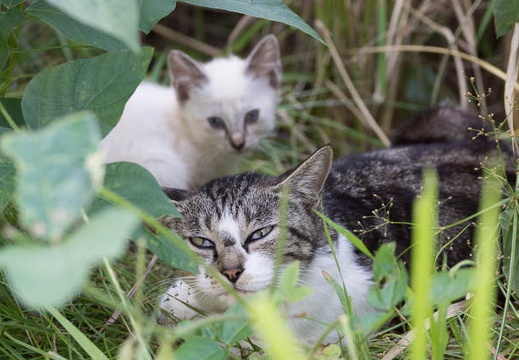 201309201512-DSC00171.jpg