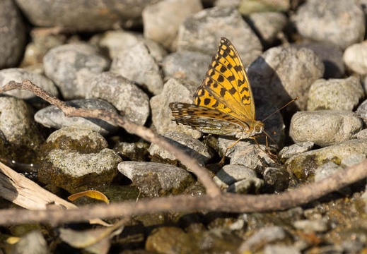 201309201520-DSC00192.jpg