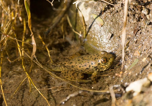 201309201525-DSC00215.jpg
