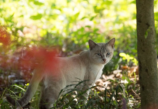 201309201547-DSC00267.jpg