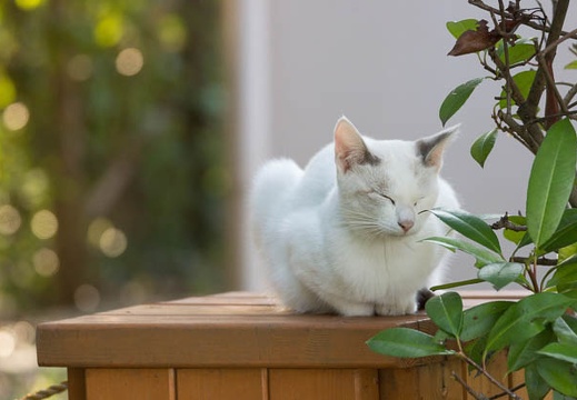 201309201622-DSC00284.jpg