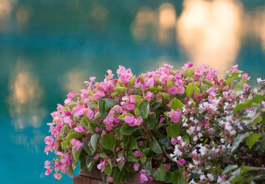 201309201737-DSC00302.jpg