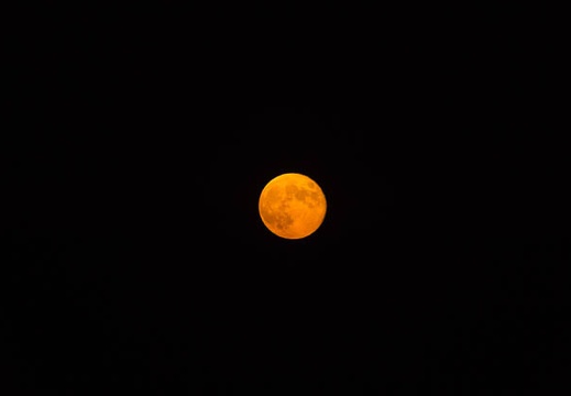 201309201827-DSC00342.jpg