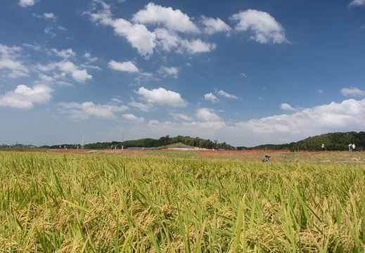 201309241204-DSC06689N.jpg