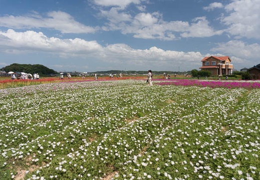201309241207-DSC06695N.jpg