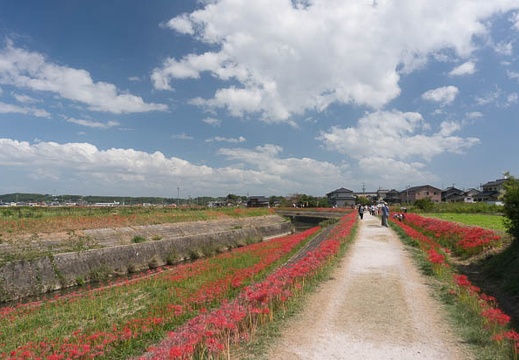 201309241212-DSC06704N.jpg
