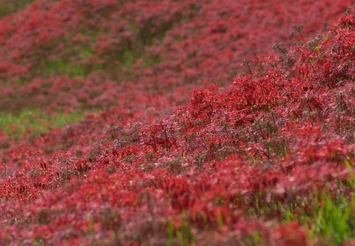 201309241229-DSC00817.jpg