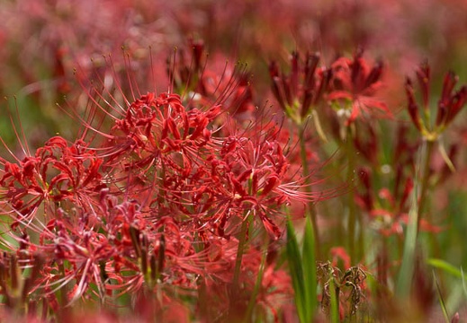 201309241247-DSC00855.jpg