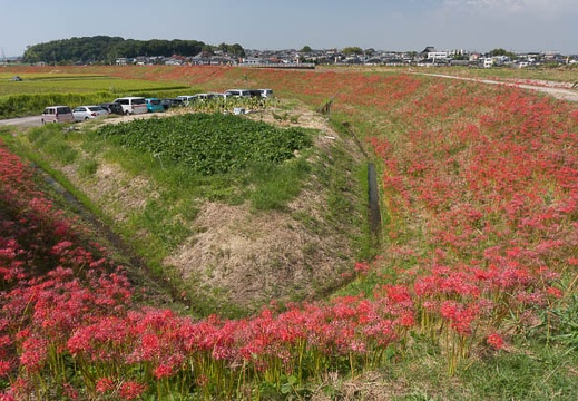 201309241302-DSC06742N.jpg