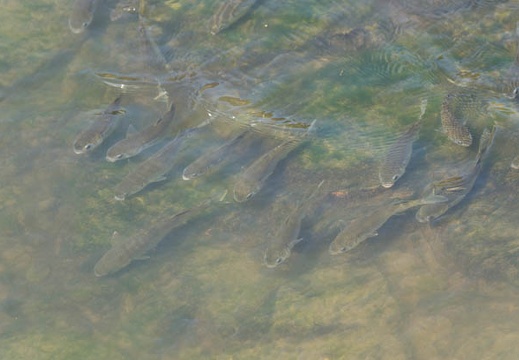 201309241322-DSC00873.jpg