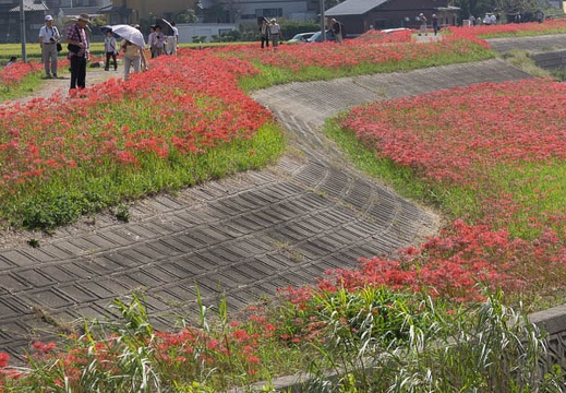 201309241408-DSC00902.jpg