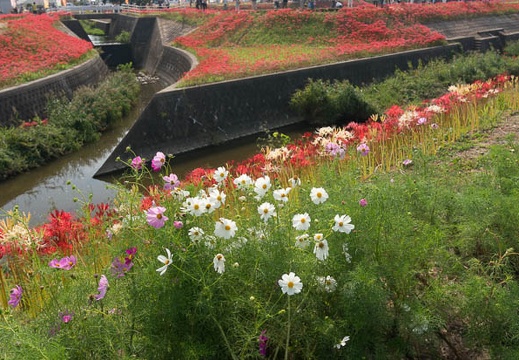 201309241420-DSC06775N.jpg
