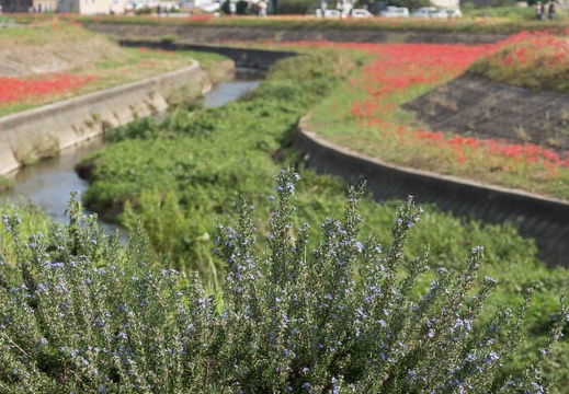 201309241429-DSC00926.jpg