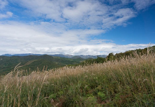 201310100956-DSC06855.jpg